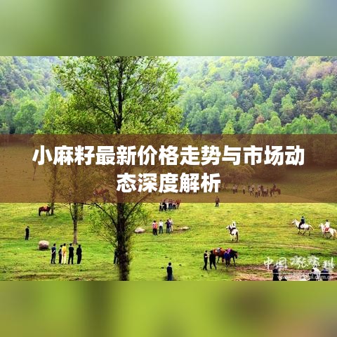 小麻籽最新价格走势与市场动态深度解析