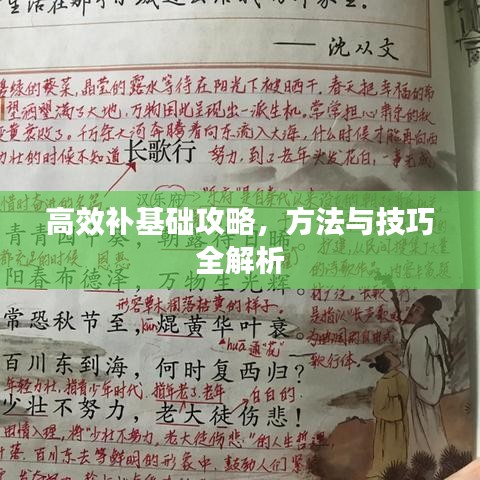高效补基础攻略，方法与技巧全解析