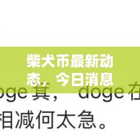 柴犬币最新动态，今日消息一网打尽