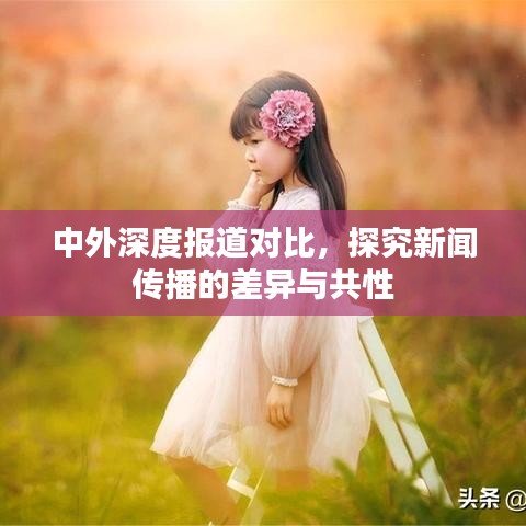 中外深度报道对比，探究新闻传播的差异与共性