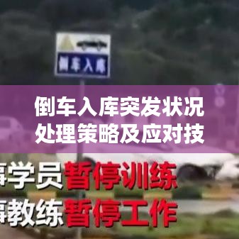 倒车入库突发状况处理策略及应对技巧全解析