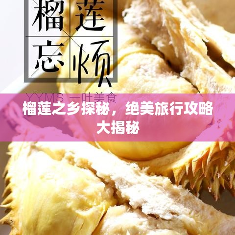 榴莲之乡探秘，绝美旅行攻略大揭秘