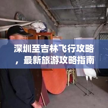 深圳至吉林飞行攻略，最新旅游攻略指南