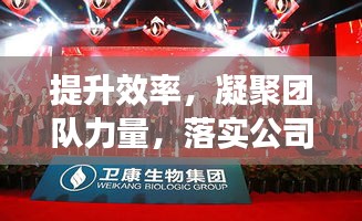 提升效率，凝聚团队力量，落实公司要求，共创卓越未来