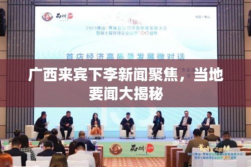 广西来宾下李新闻聚焦，当地要闻大揭秘