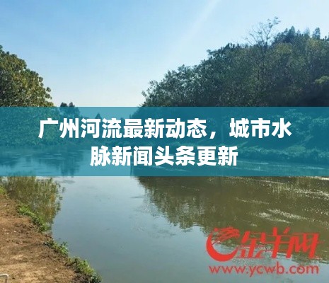 广州河流最新动态，城市水脉新闻头条更新