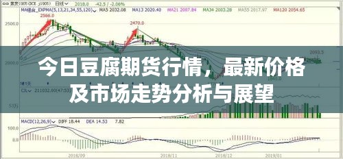 今日豆腐期货行情，最新价格及市场走势分析与展望