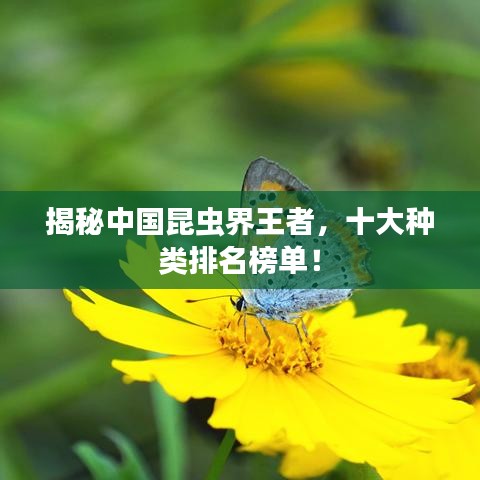 人前显贵 第2页