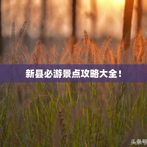 鸟啼花落 第2页