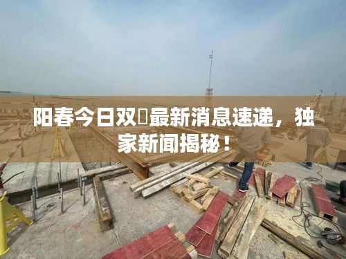 阳春今日双滘最新消息速递，独家新闻揭秘！