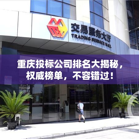 重庆投标公司排名大揭秘，权威榜单，不容错过！