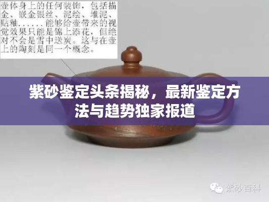 紫砂鉴定头条揭秘，最新鉴定方法与趋势独家报道