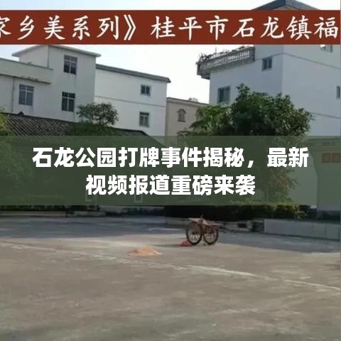 石龙公园打牌事件揭秘，最新视频报道重磅来袭