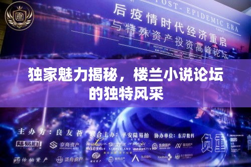 独家魅力揭秘，楼兰小说论坛的独特风采