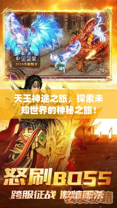 天王神途之旅，探索未知世界的神秘之旅！