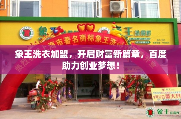 象王洗衣加盟，开启财富新篇章，百度助力创业梦想！