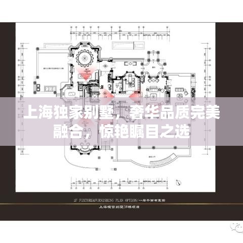 上海独家别墅，奢华品质完美融合，惊艳瞩目之选