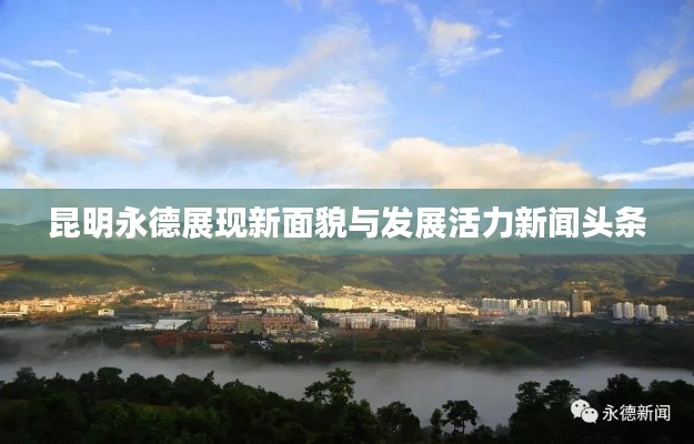 昆明永德展现新面貌与发展活力新闻头条