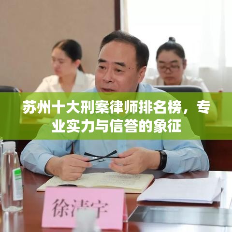 苏州十大刑案律师排名榜，专业实力与信誉的象征
