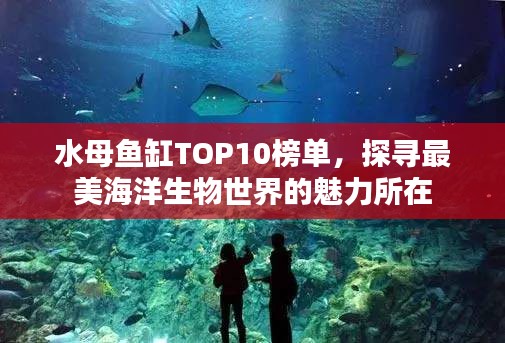 水母鱼缸TOP10榜单，探寻最美海洋生物世界的魅力所在