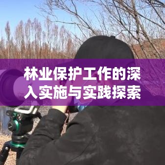 林业保护工作的深入实施与实践探索