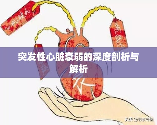 突发性心脏衰弱的深度剖析与解析