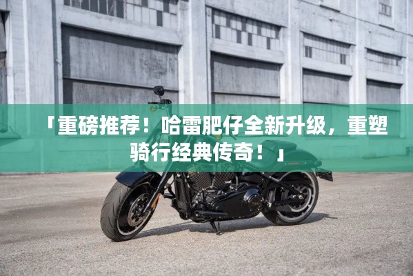 「重磅推荐！哈雷肥仔全新升级，重塑骑行经典传奇！」