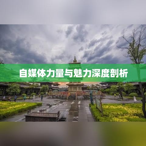 自媒体力量与魅力深度剖析