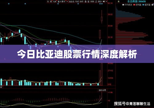 今日比亚迪股票行情深度解析