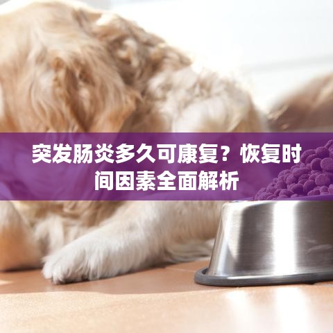 突发肠炎多久可康复？恢复时间因素全面解析