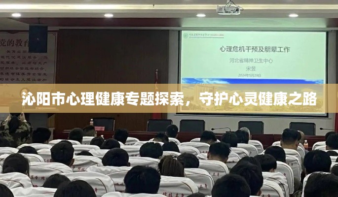 沁阳市心理健康专题探索，守护心灵健康之路