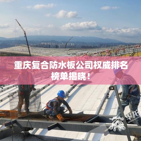 重庆复合防水板公司权威排名榜单揭晓！