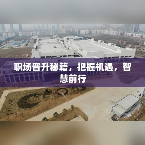 职场晋升秘籍，把握机遇，智慧前行