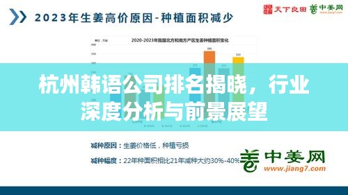 杭州韩语公司排名揭晓，行业深度分析与前景展望