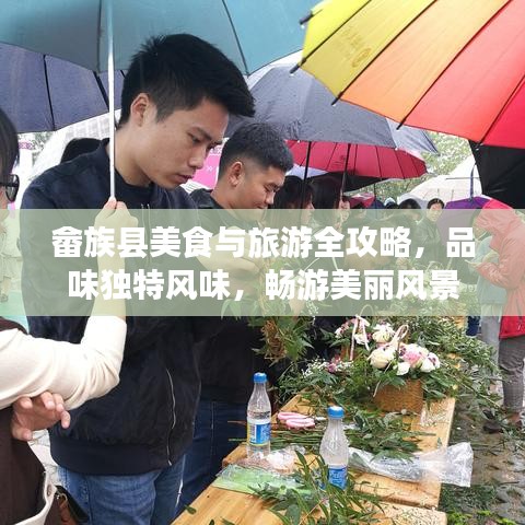 畲族县美食与旅游全攻略，品味独特风味，畅游美丽风景