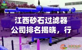 江西砂石过滤器公司排名揭晓，行业权威榜单揭秘！