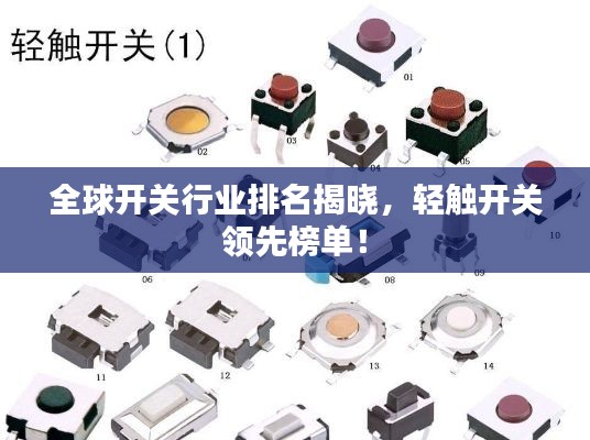 全球开关行业排名揭晓，轻触开关领先榜单！