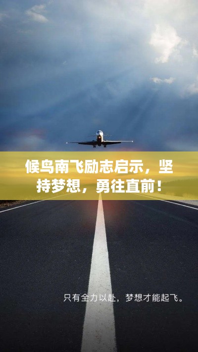 候鸟南飞励志启示，坚持梦想，勇往直前！