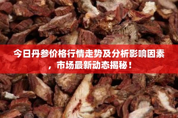 今日丹参价格行情走势及分析影响因素，市场最新动态揭秘！