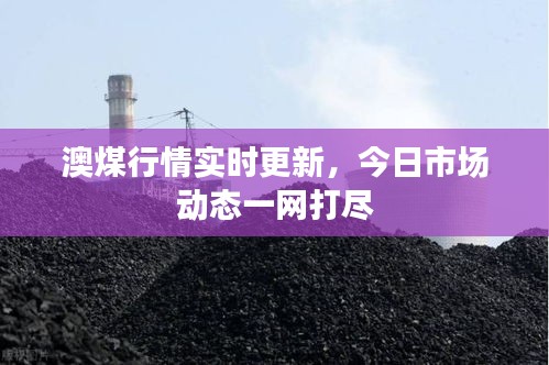澳煤行情实时更新，今日市场动态一网打尽