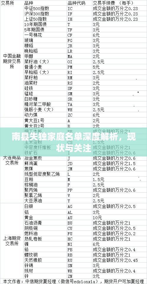 南县失独家庭名单深度解析，现状与关注