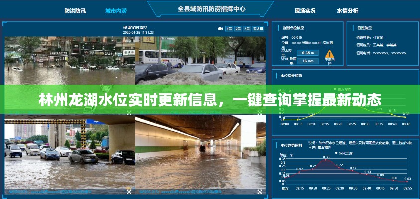 林州龙湖水位实时更新信息，一键查询掌握最新动态