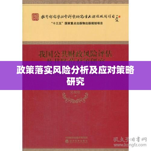 政策落实风险分析及应对策略研究