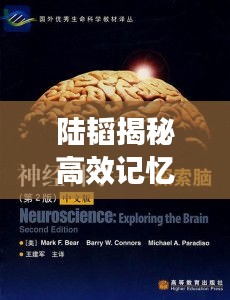 陆韬揭秘高效记忆秘诀，探索大脑记忆奥秘