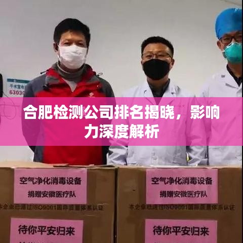 合肥检测公司排名揭晓，影响力深度解析
