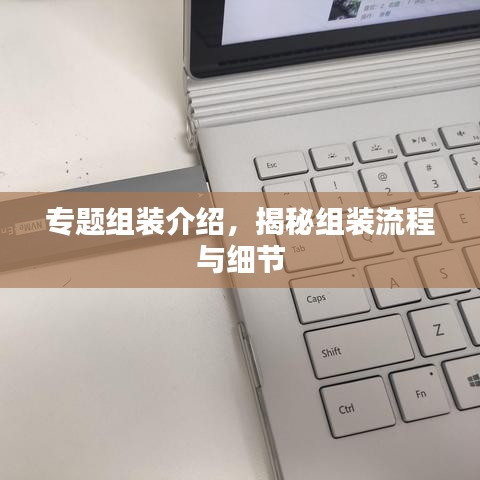 专题组装介绍，揭秘组装流程与细节