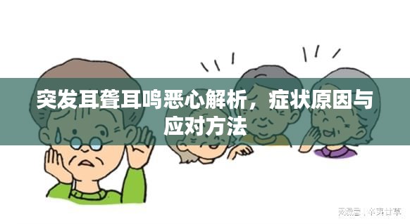 突发耳聋耳鸣恶心解析，症状原因与应对方法