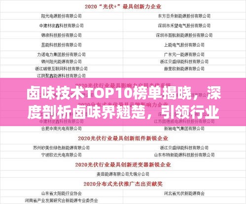 卤味技术TOP10榜单揭晓，深度剖析卤味界翘楚，引领行业潮流！