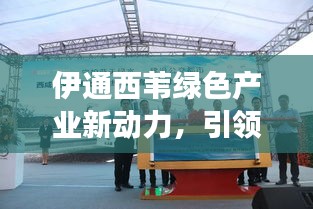 伊通西苇绿色产业新动力，引领未来发展新篇章