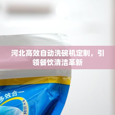 河北高效自动洗碗机定制，引领餐饮清洁革新